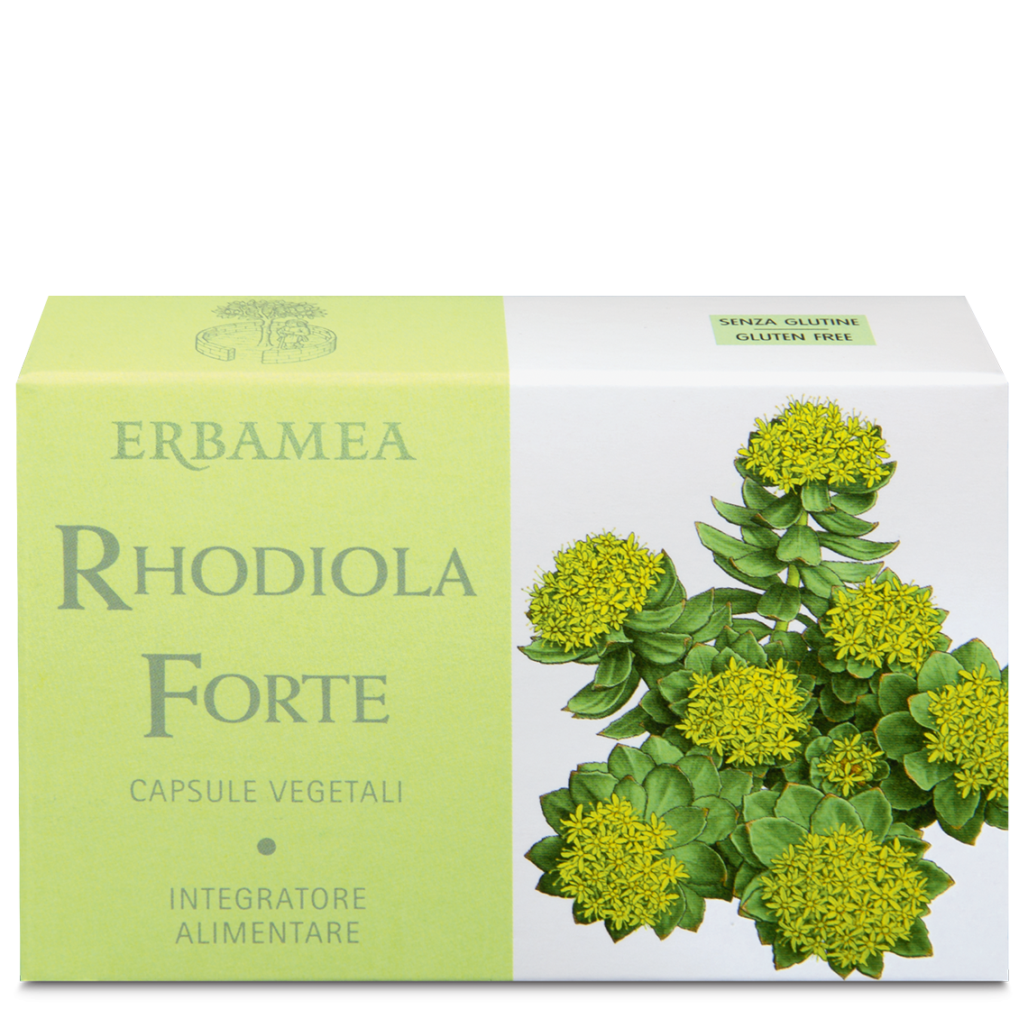RHODIOLA FORTE 24 CAPSULE
