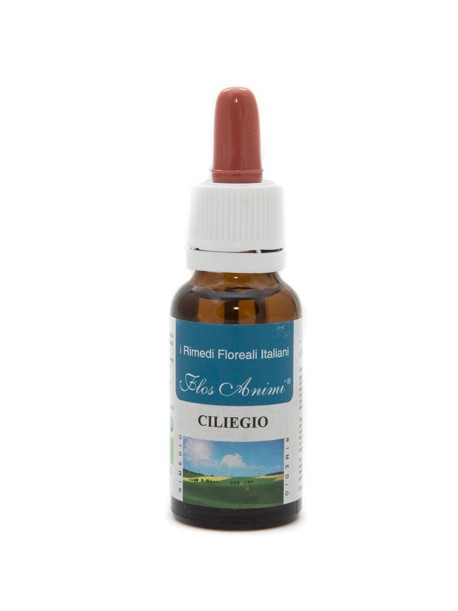 CILIEGIO FIORE ITALIANO FLOS ANIMI