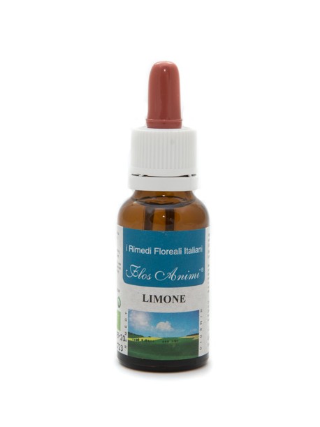 LIMONE FIORE ITALIANO