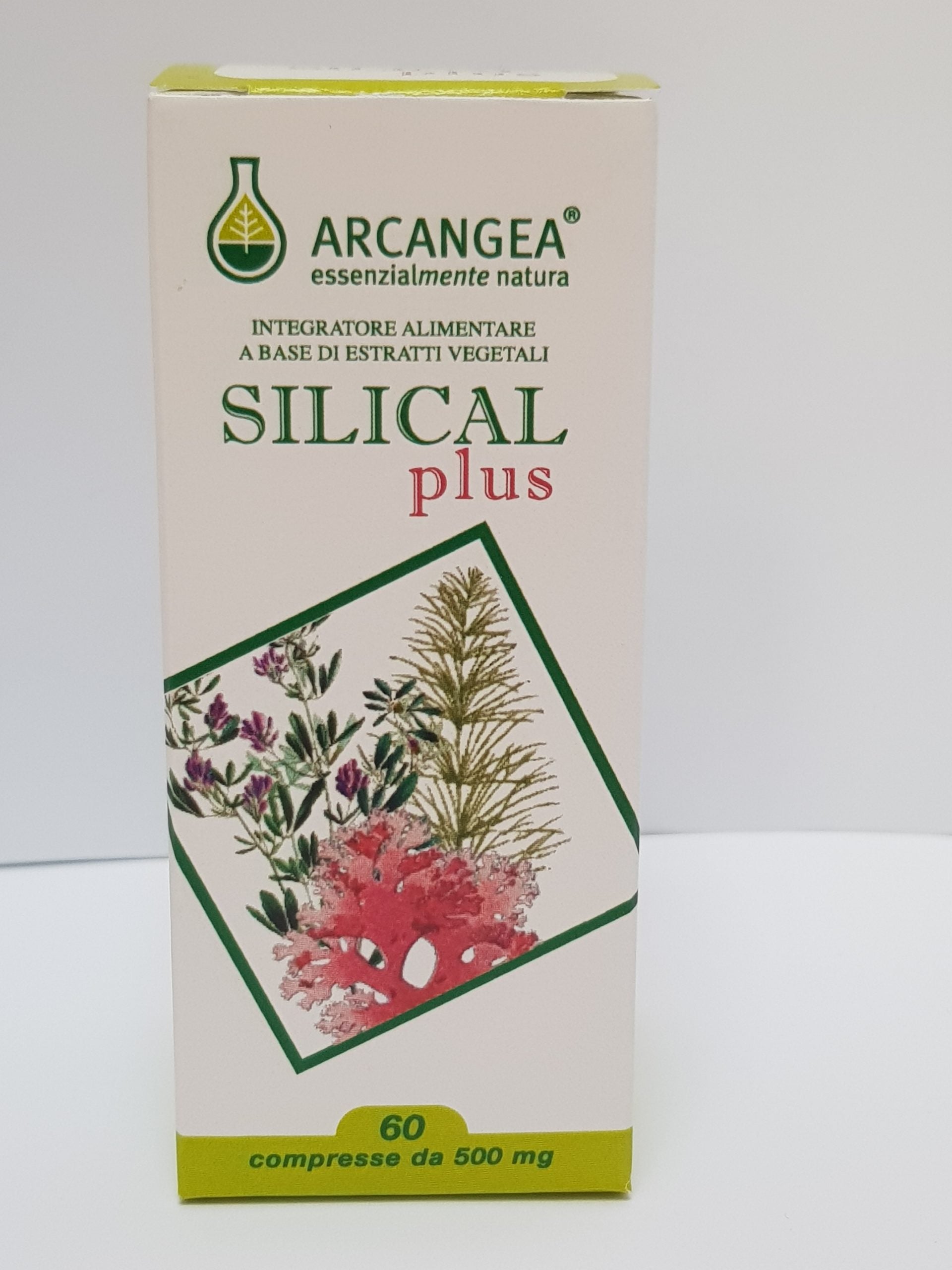 SILICAL PLUS 60 CAPSULE