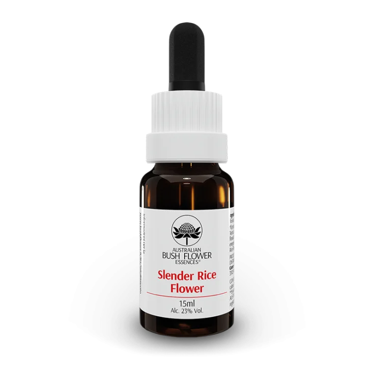AUSTRALIAN BUSH FLOWER - SLENDER RICE GTT 15ML