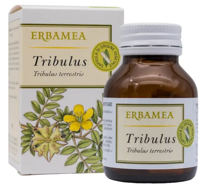 TRIBULUS 50 CAPSULE