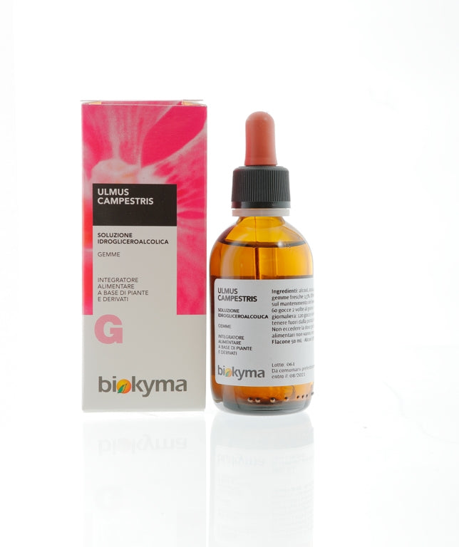 ULMUS CAMPESTRIS GEMME (OLMO) TM 50ML