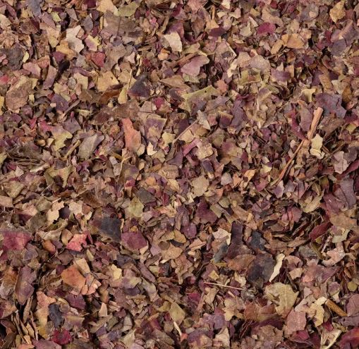 VITE ROSSA FOGLIE TT 100G