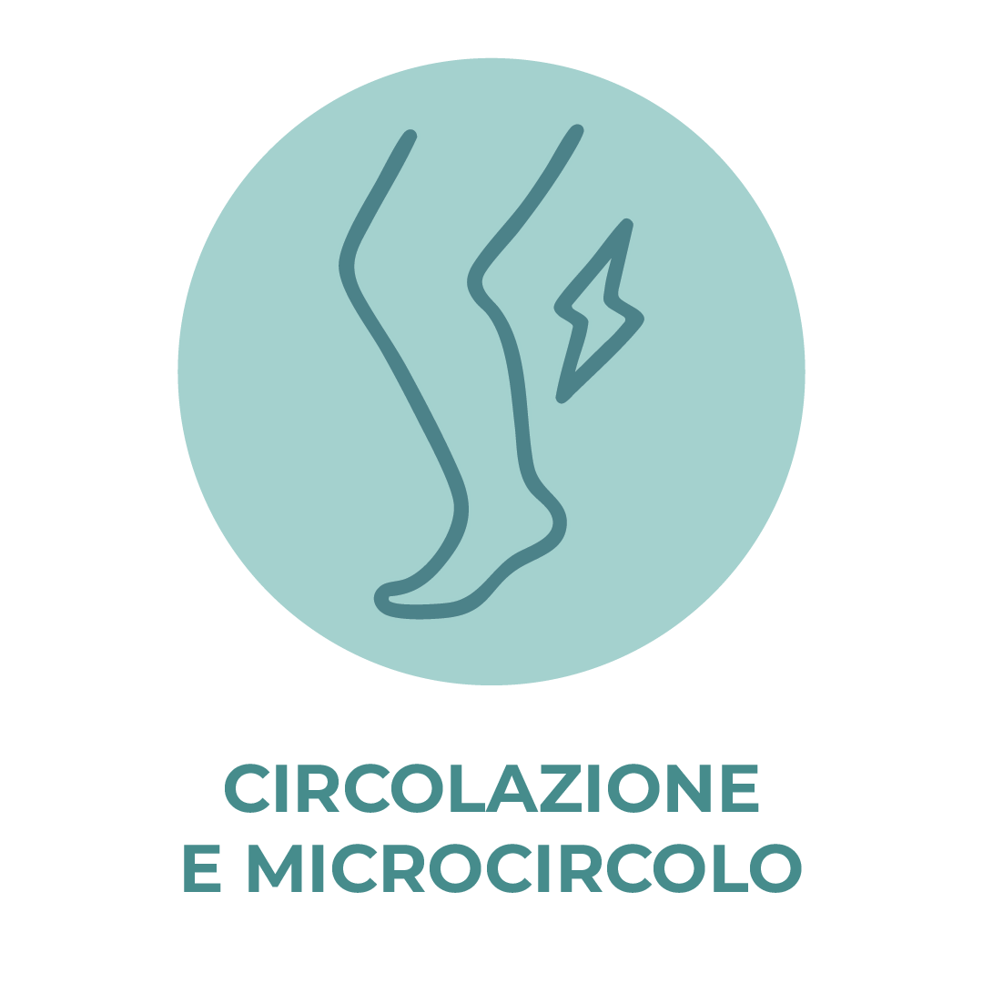 Circolazione e microcircolo