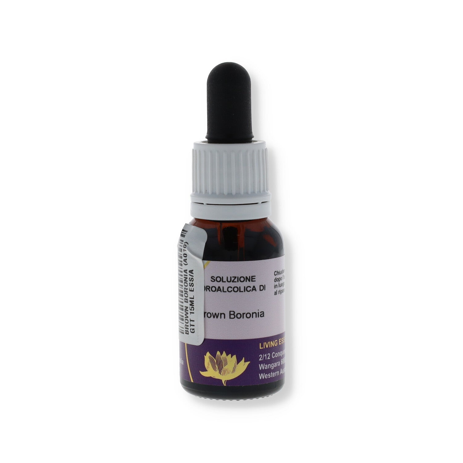 ESSENZA AUSTRALIAN LIVING BROWN BORONIA 15ML