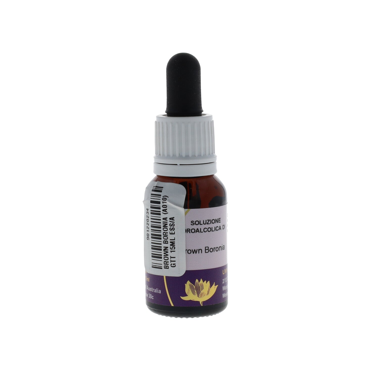 ESSENZA AUSTRALIAN LIVING BROWN BORONIA 15ML