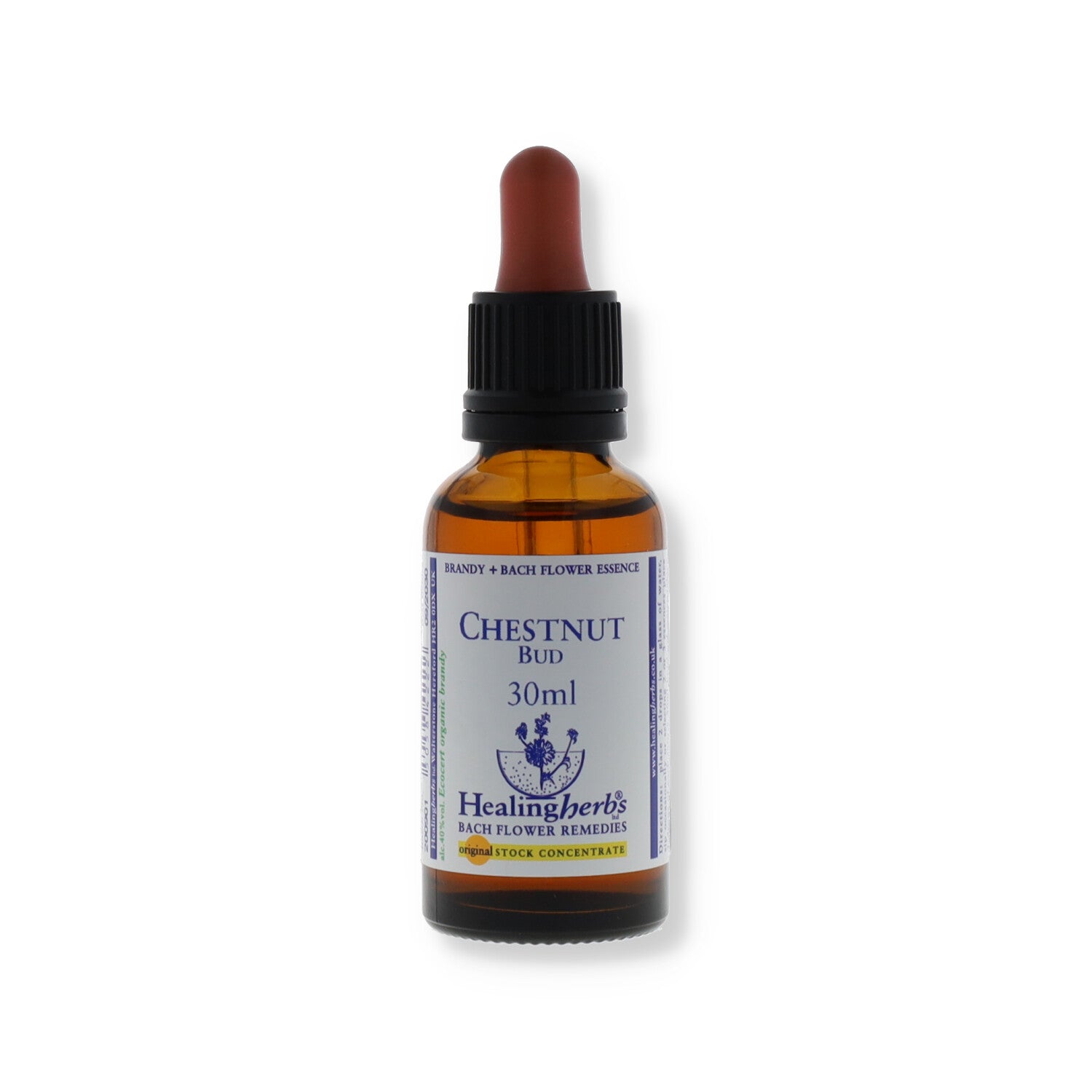 CHESTNUT BUD ESSENZA 30ML