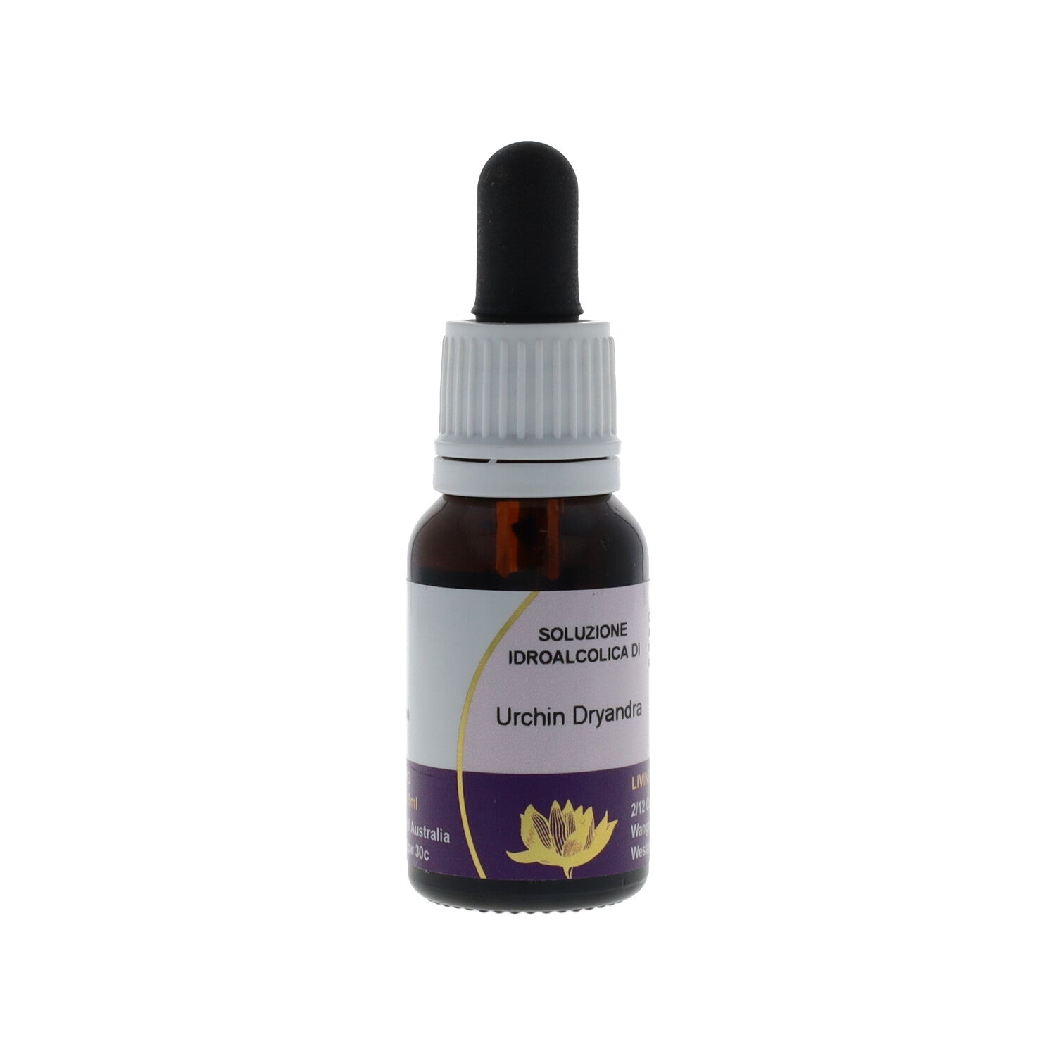 ESSENZA AUSTRALIAN LIVING URCHIN DRYANDRA 15ML