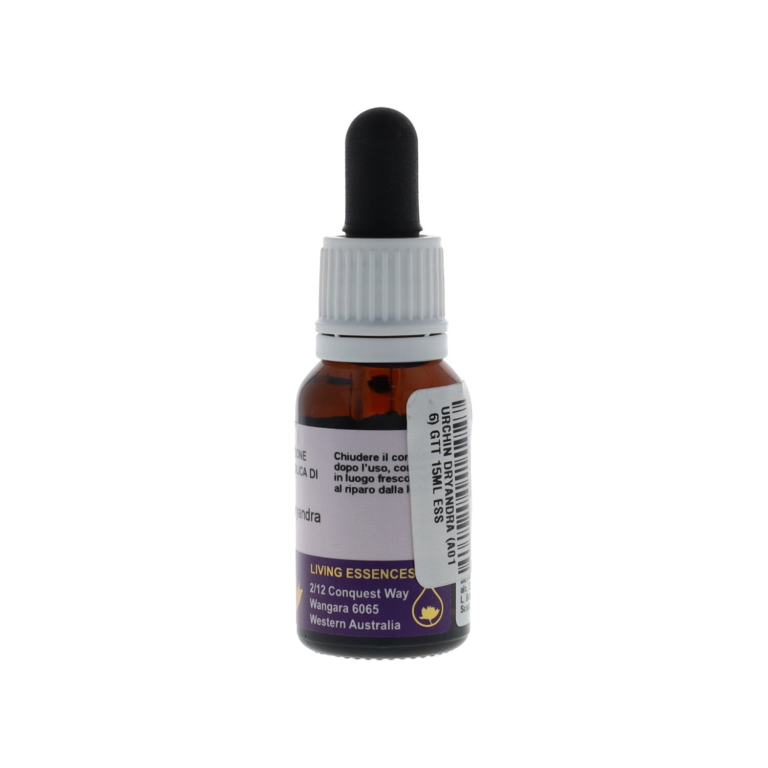 ESSENZA AUSTRALIAN LIVING URCHIN DRYANDRA 15ML