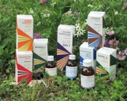 RAEMIL AGLIO COMP 50ML