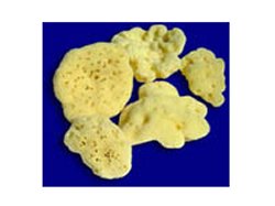ROSENFELD SPUGNA FINE BEBÈ 8 CM