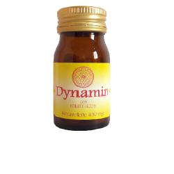 DYNAMIN 60TAV 450MG