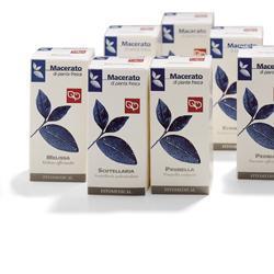 ERNIARIA TM 100ML