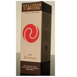 WELLNESS FLOWERS N1 50ML