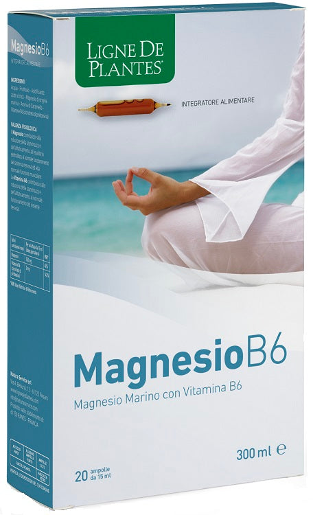 MAGNESIO B6 20AB 15ML