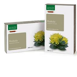 RODIOLA BIO 20AB 15ML