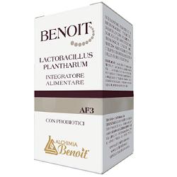 BENOIT LACTOBACILLUS PLANTHARU - 30 capsule