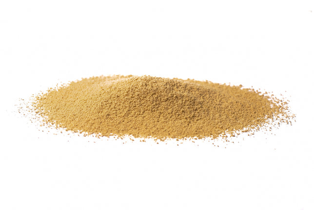 ZENZERO RIZOMA POLVERE 1KG