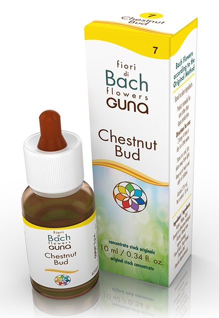 CHESTNUT BUD GTT 10ML