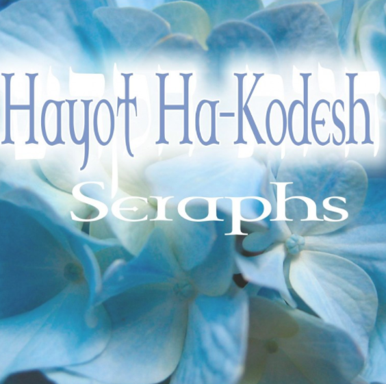 HAYOT HA KODESCH SPRAY - 30ML