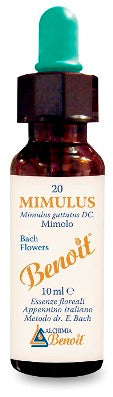 BENOIT FIORI DI BACH MIMULUS