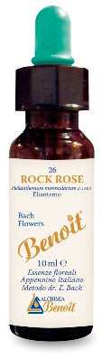 BENOIT FIORI DI BACH ROCK ROSE