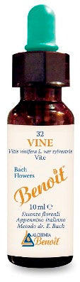 BENOIT FIORI DI BACH VINE