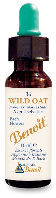 BENOIT FIORI DI BACH WILD OAT