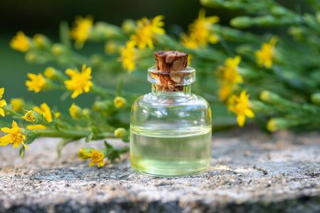 SOLIDAGO CANADESE 5ML