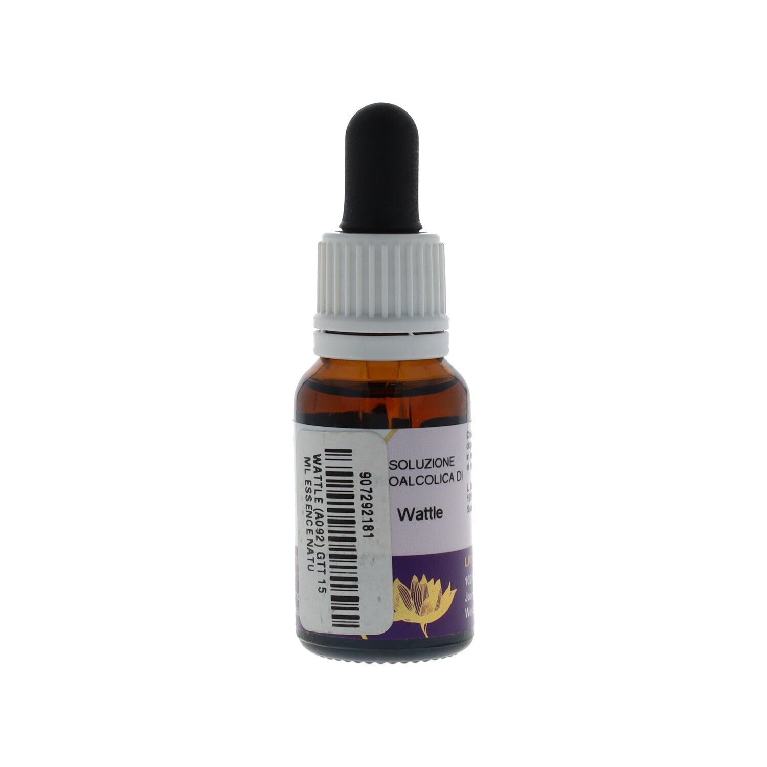 ESSENZA AUSTRALIAN LIVING WATTLE 15ML