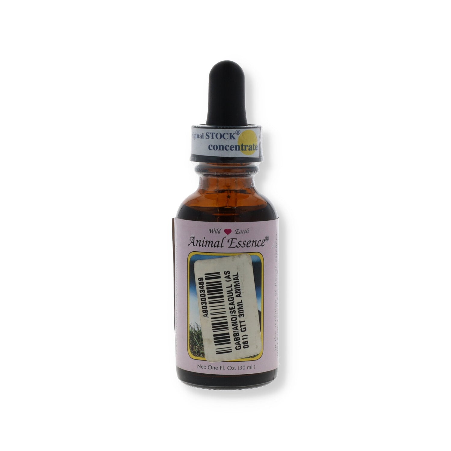 ESSENZA WILD EARTH SEAGULL 30ML