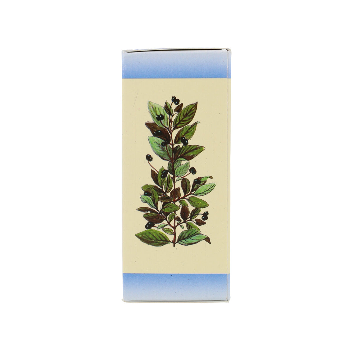 VACCINUM VITIS IDAEA  MG - 50ML