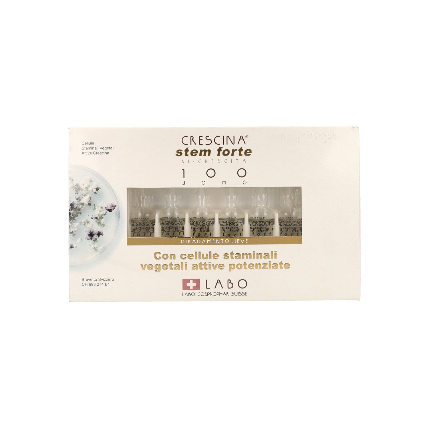 CRESCINA RICR STEM FT 100 UOMO 24FLL    (1822) LABO EUROPA                      #CCP_CAP#