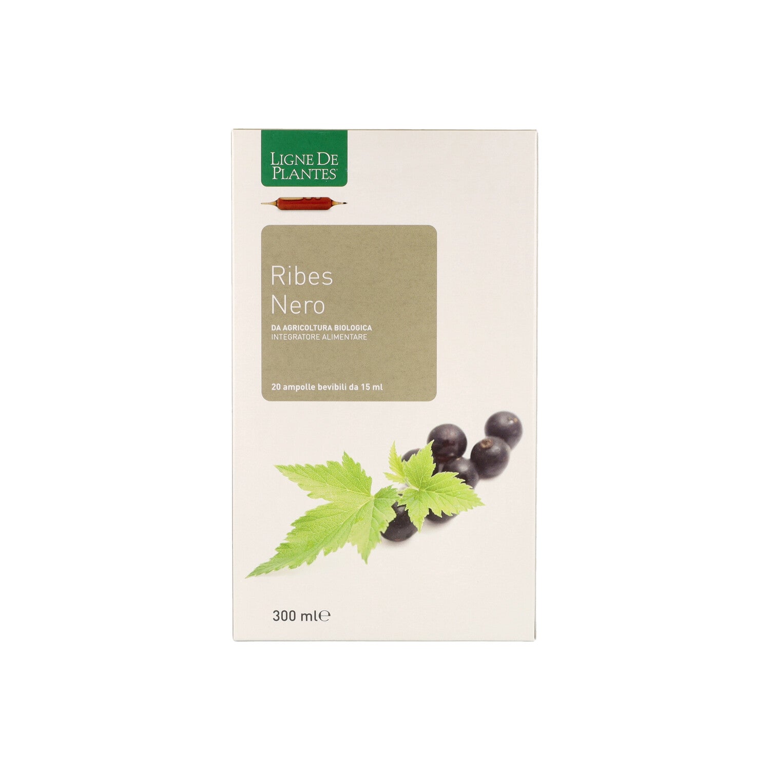 RIBES NERO BIO - 20 AMPOLLE