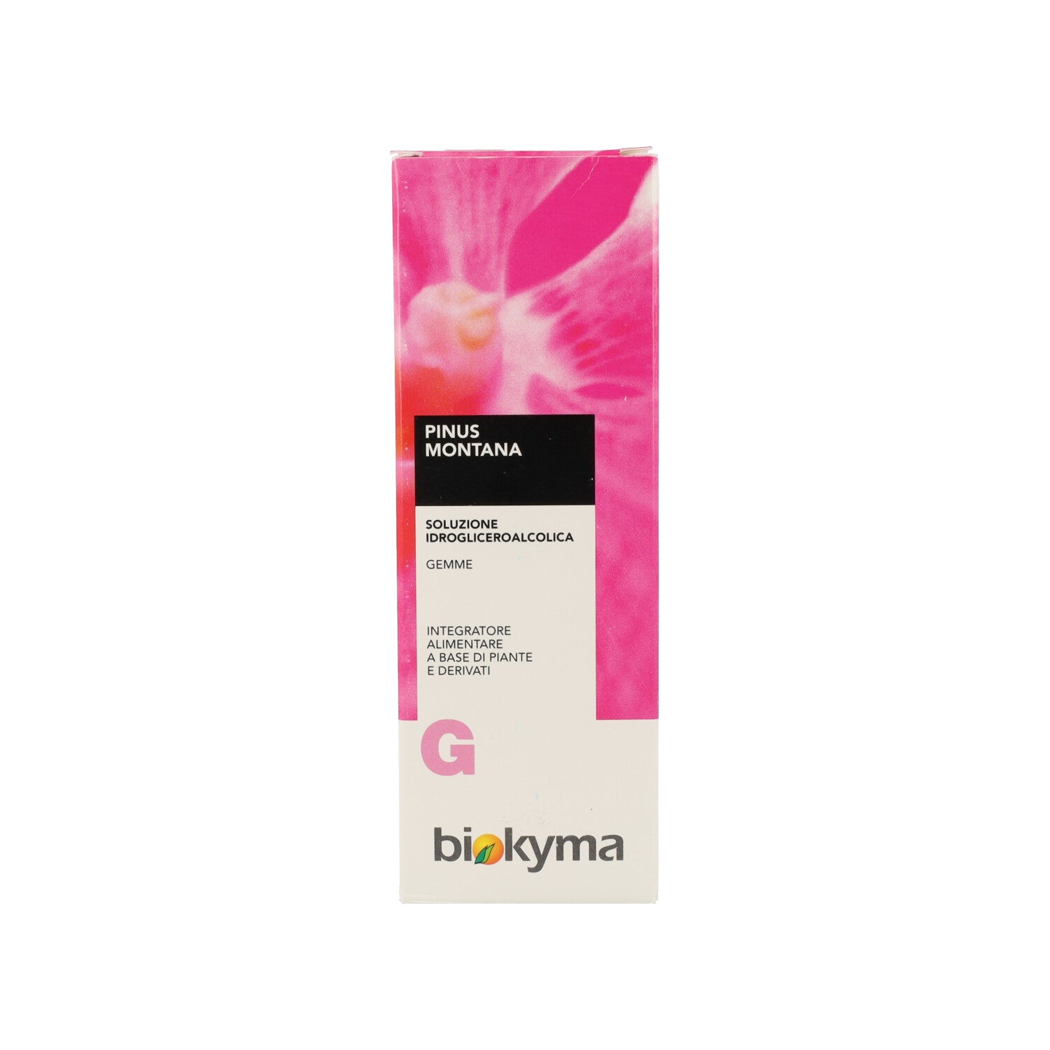 PINUS MONTANA GEMME PINO MUGO 100ML