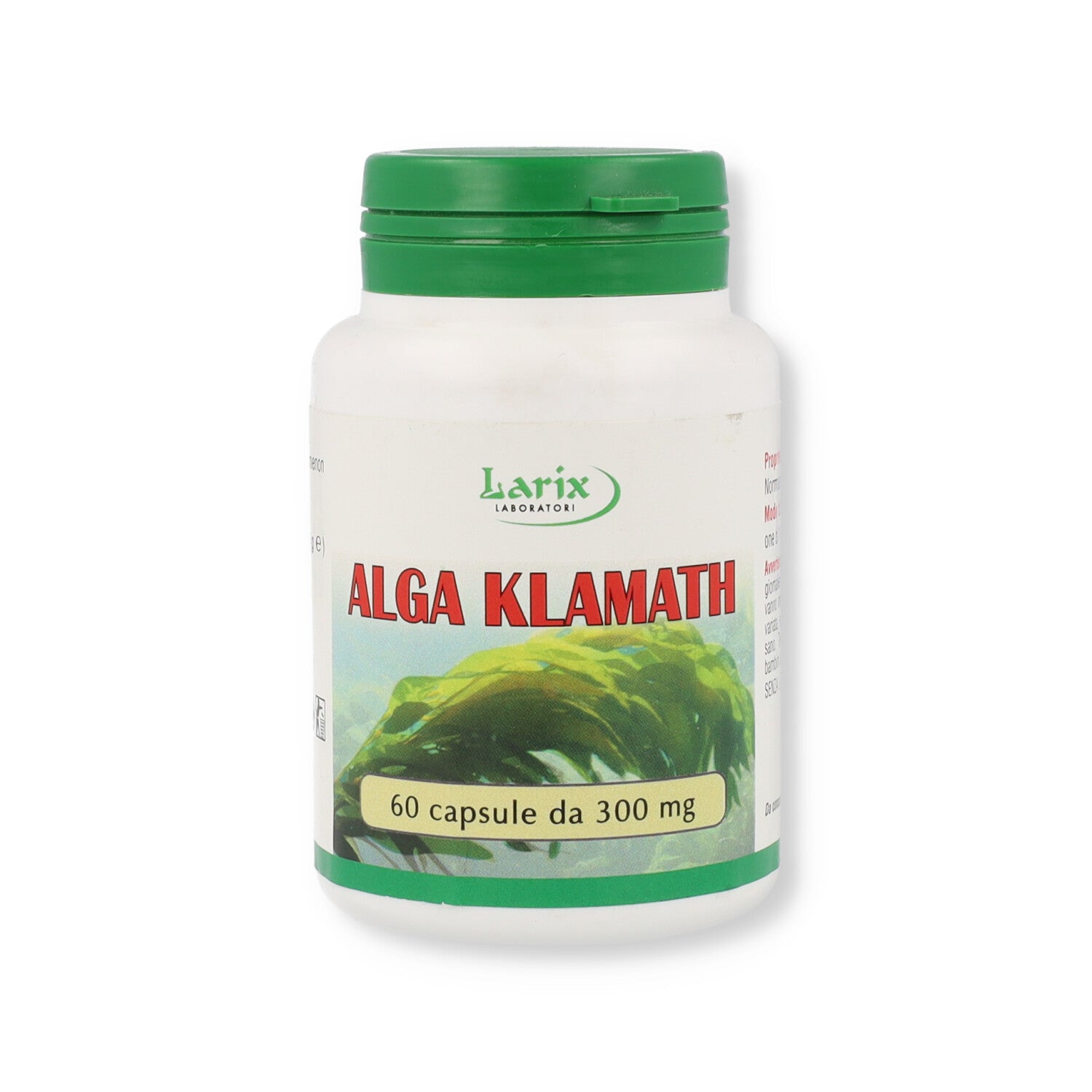 ALGA KAMATH - 60OPR