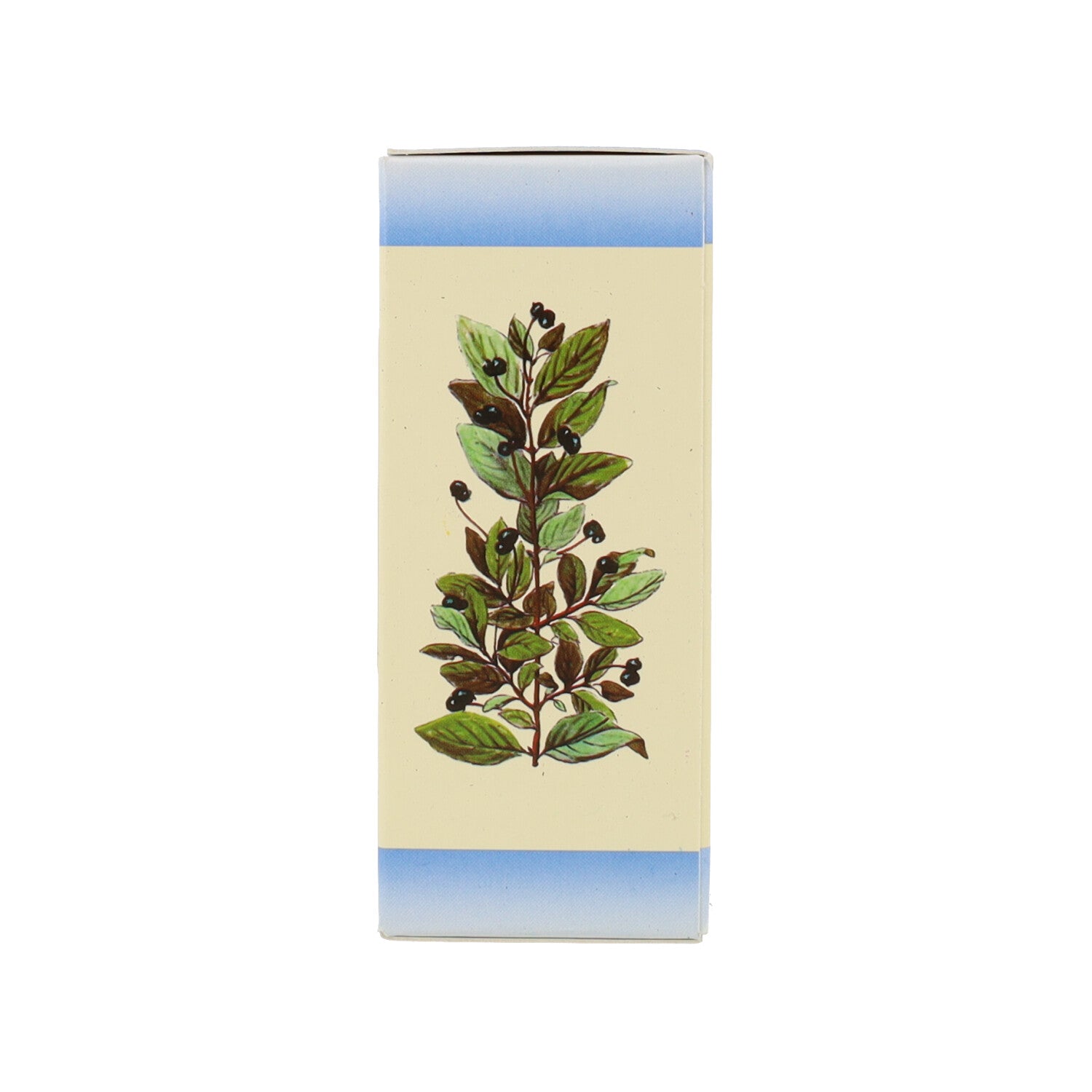 SORBUS DOMESTICA 1DH 50ML MG