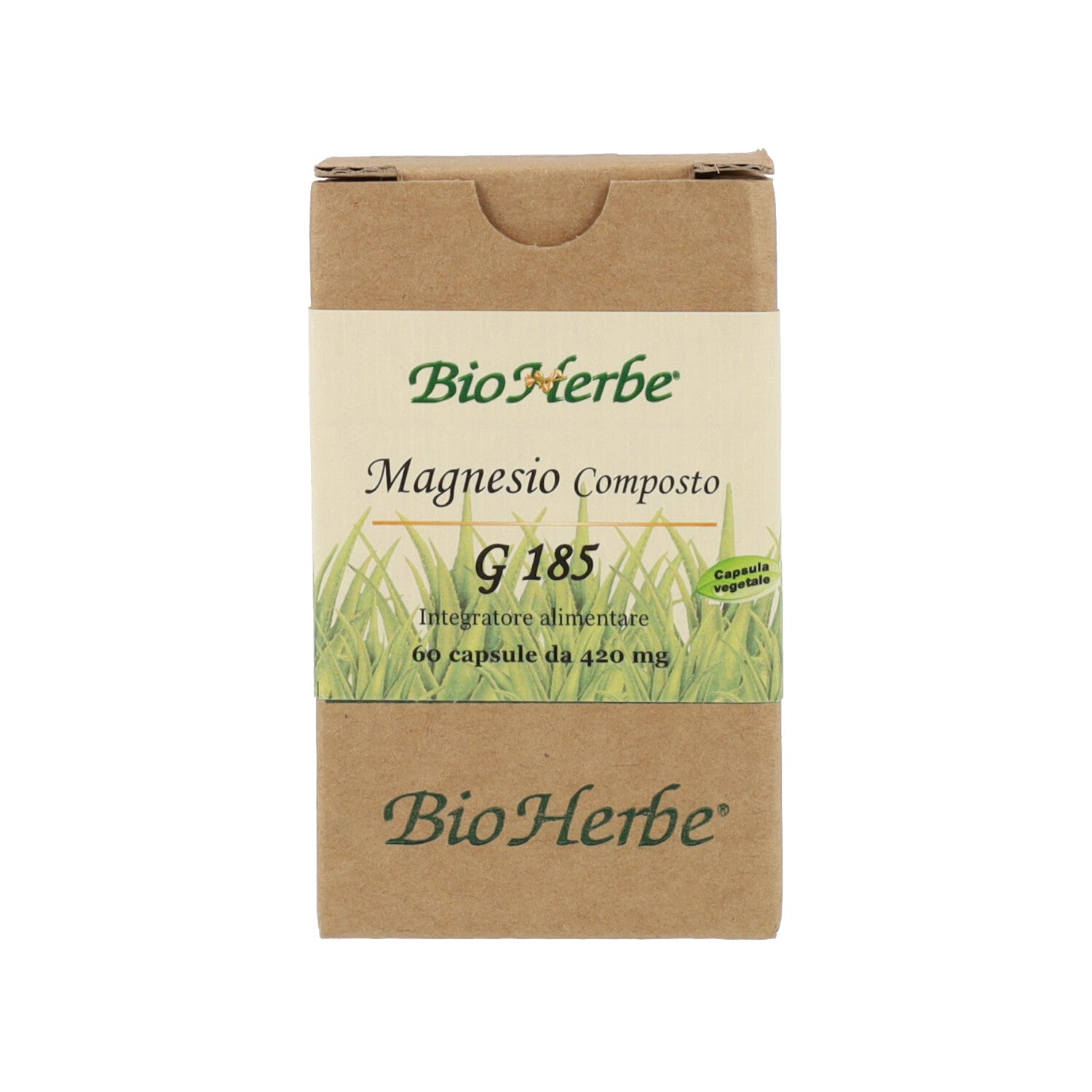 MAGNESIO COMP G 185 - 60 CPS