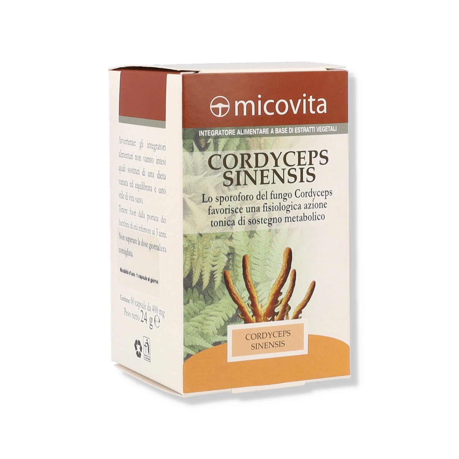 CORDYCEPS FUNGO MICOVITA - 60CPS