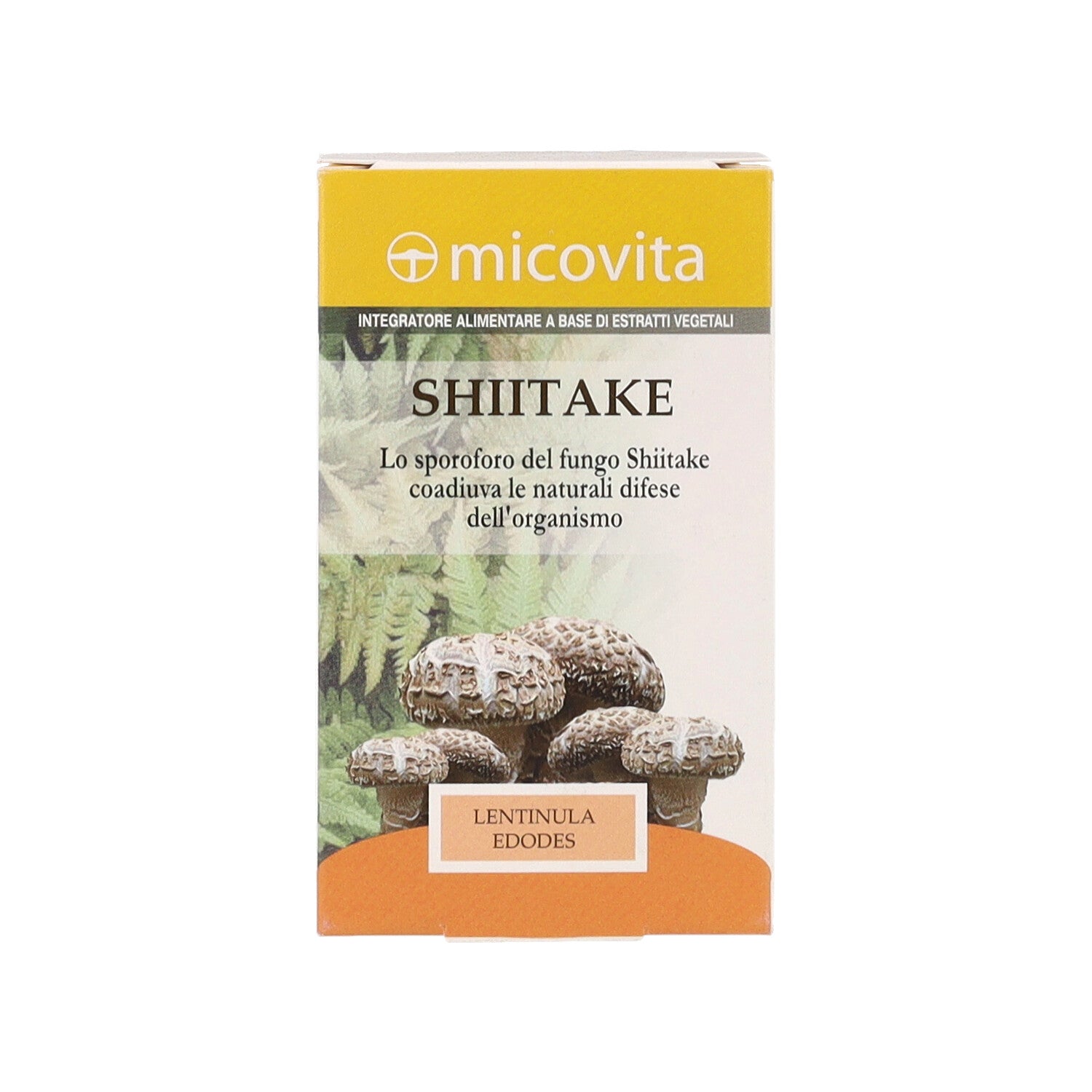 SHIITAKE FUNGO MICOVITA - 60CPS