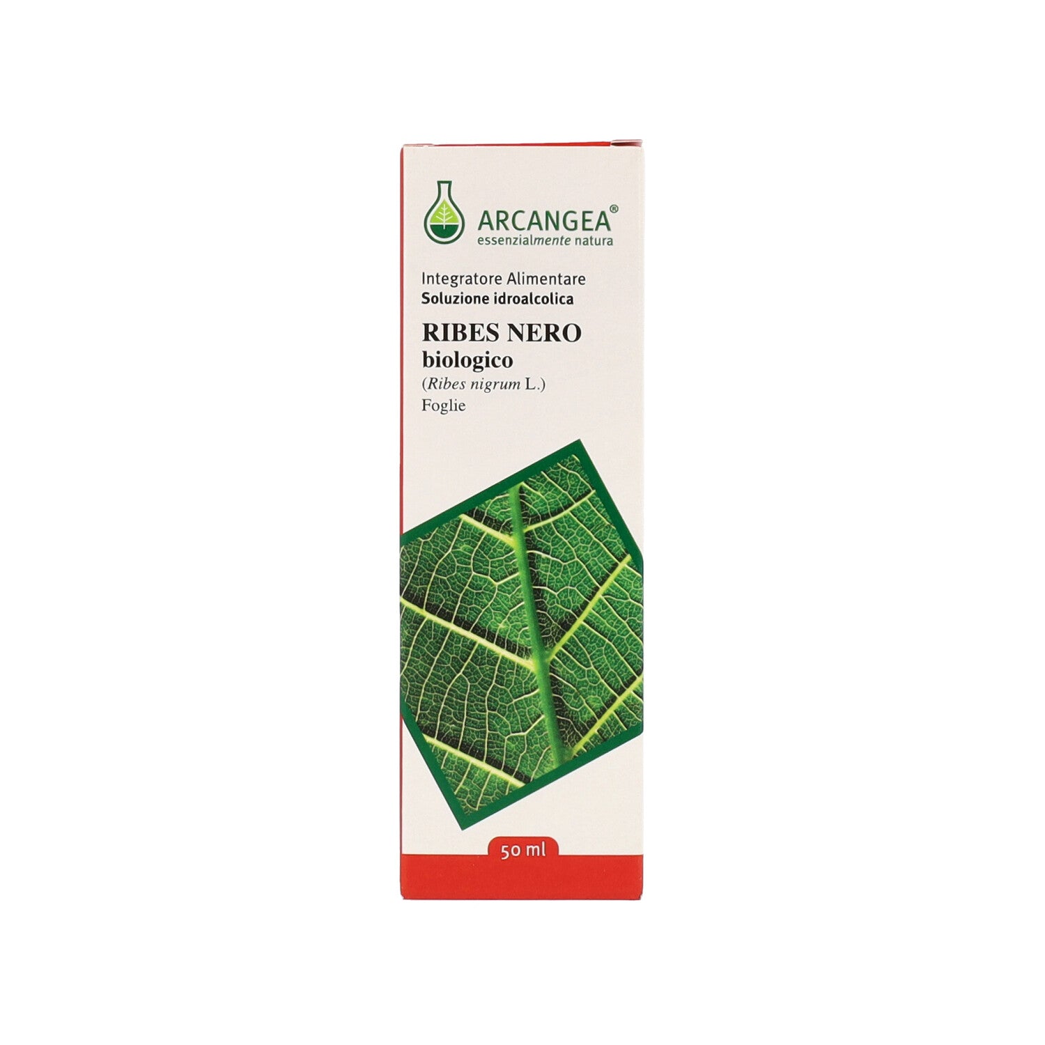 RIBES NERO SI 50ML