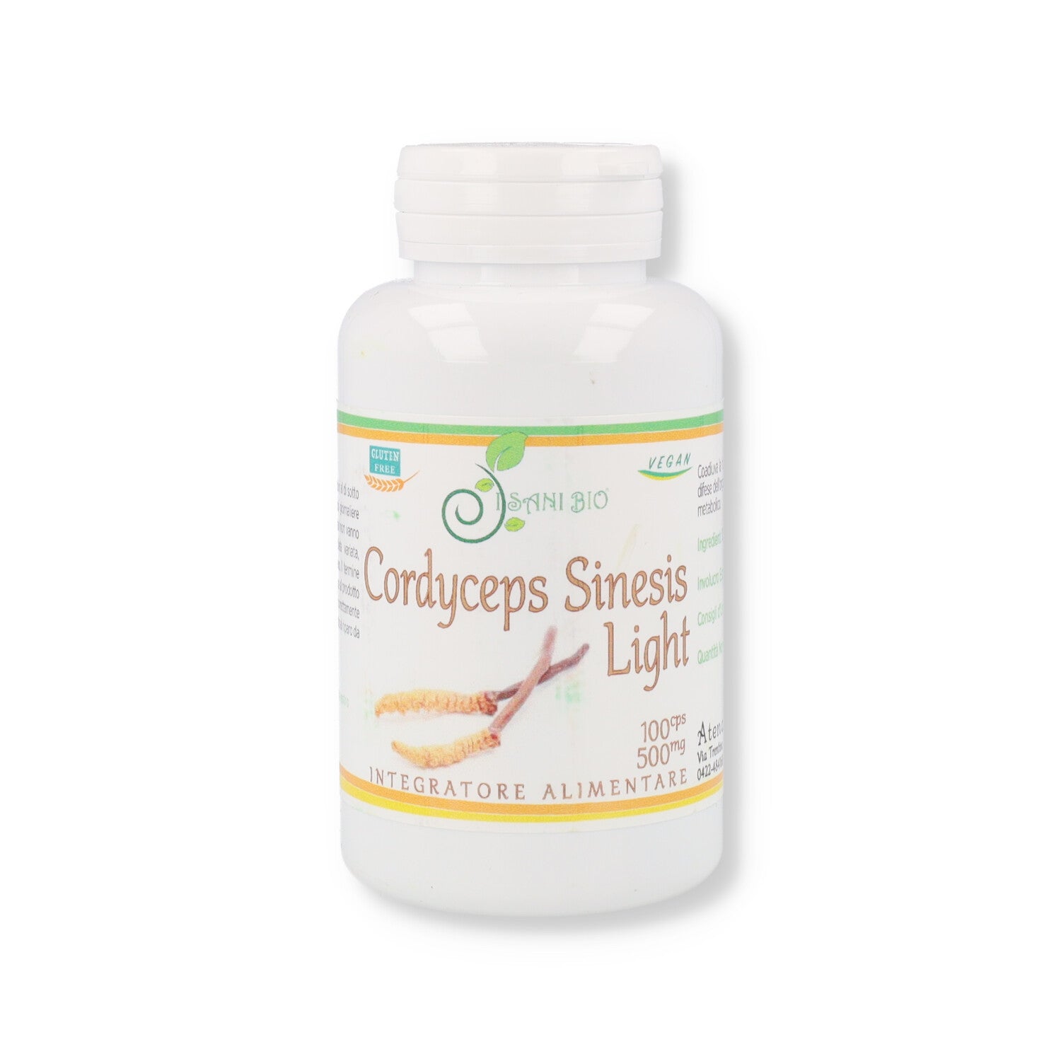 CORDYCEPS SYNENSIS 100 CAPSULE