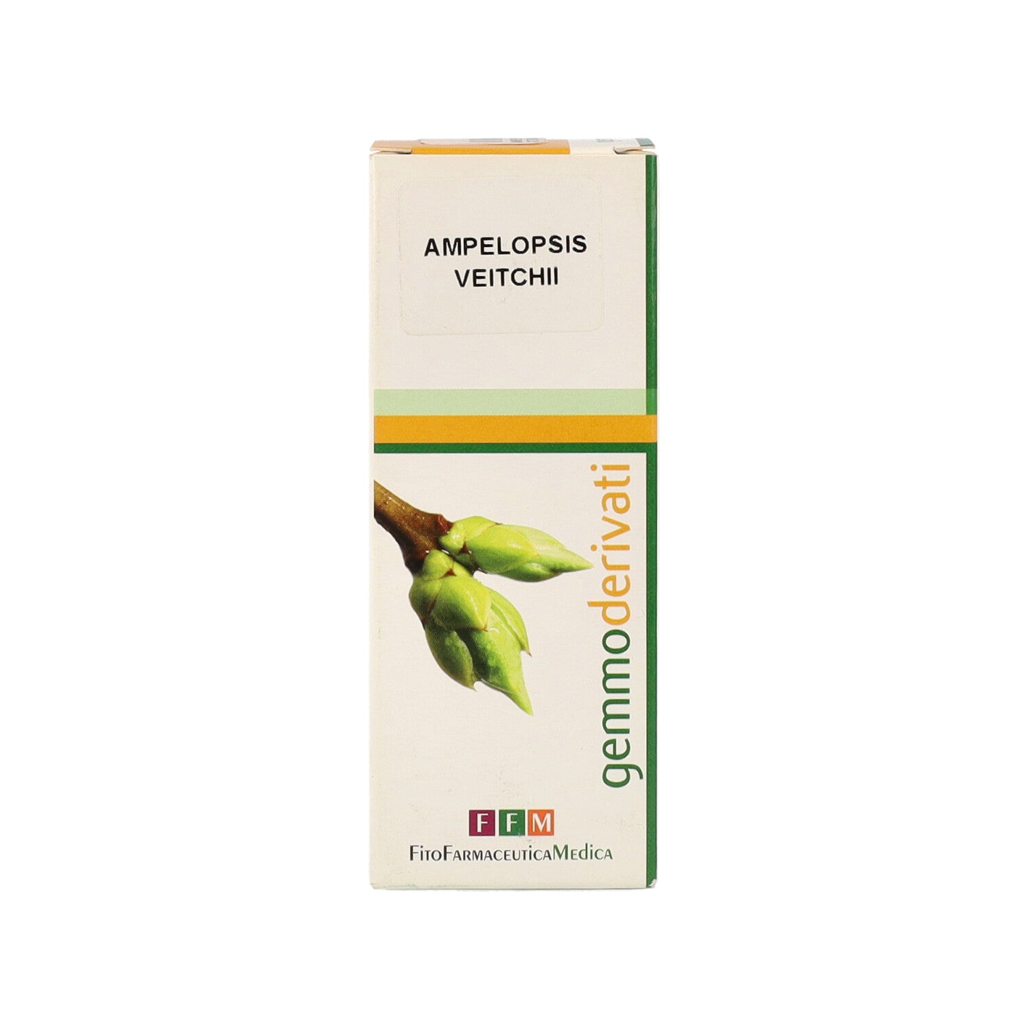 AMPELOPSIS VEITCHII SI GTT - 50ML