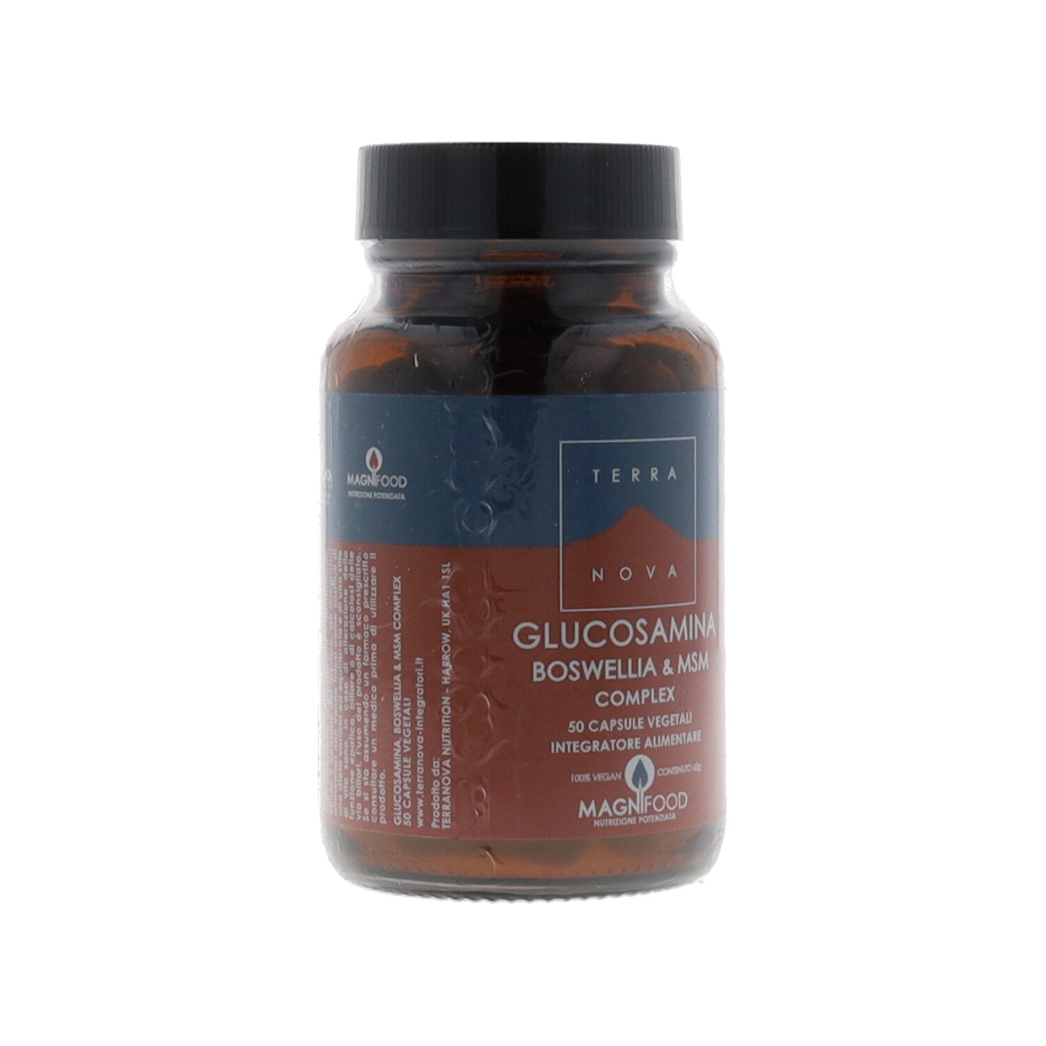 TERRANOVA COMPL GLUC BOSWELIA 50CPS