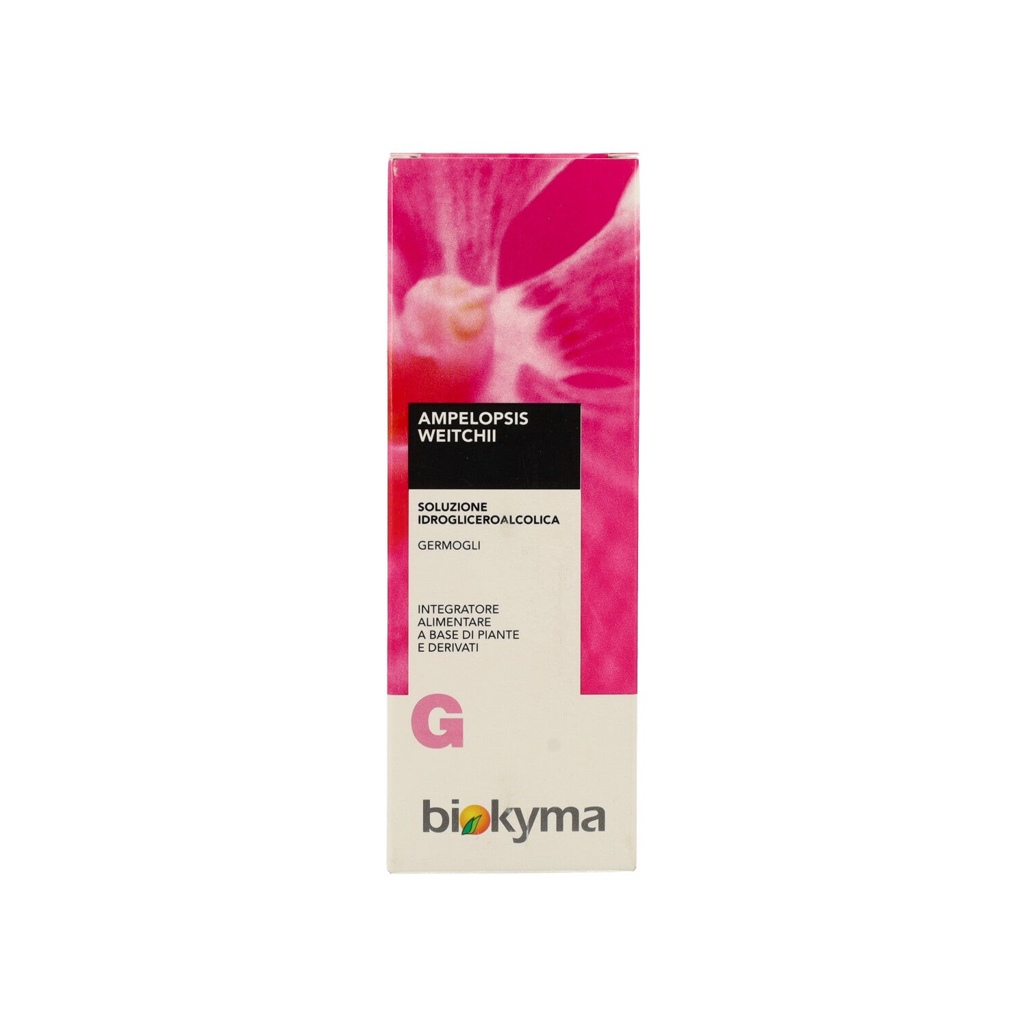 AMPELOPSIS WEITCHII VITE VERGINE GERMOGLI MG 100ML