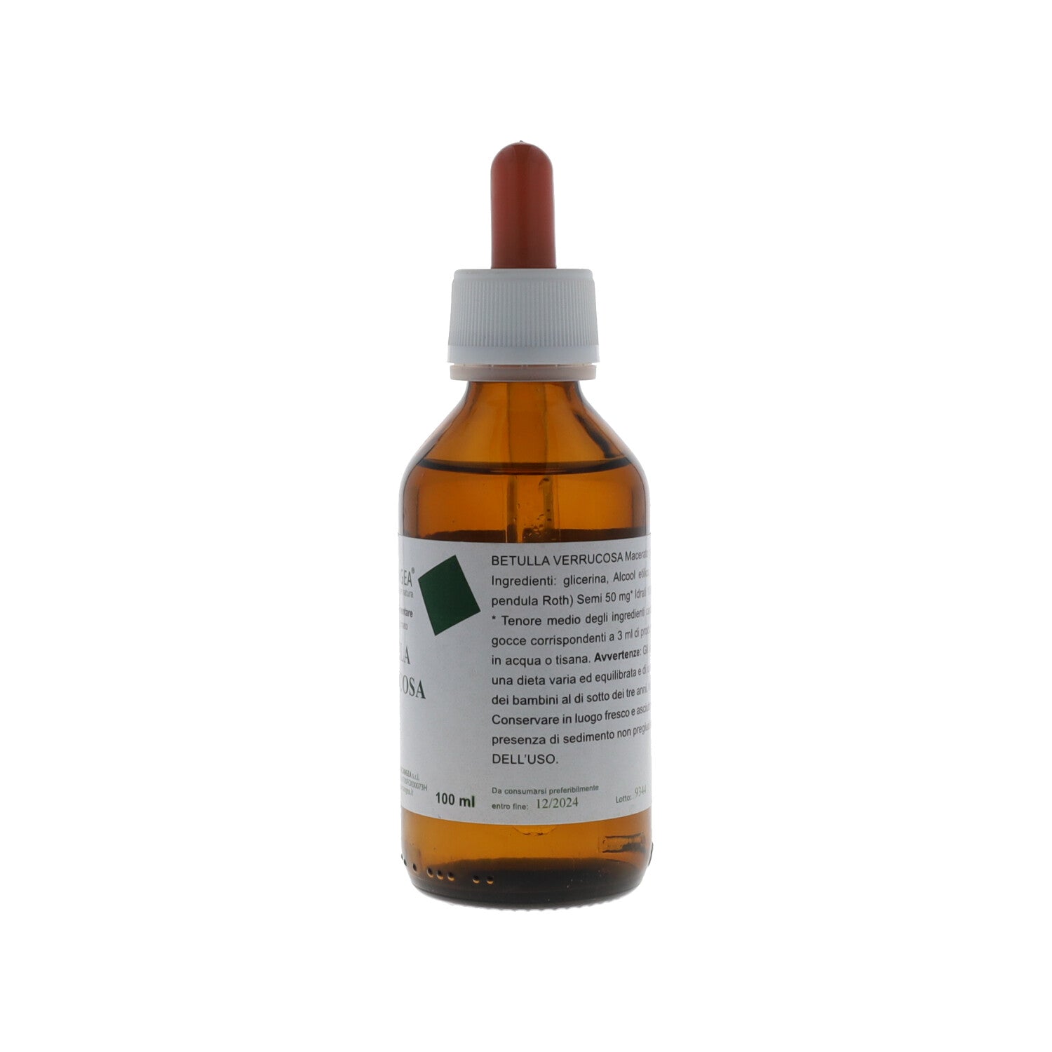 BETULA VERRUCOSA TM 100ML