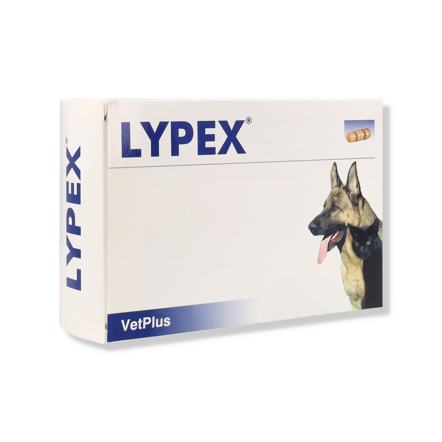 LYPEX 60CPS