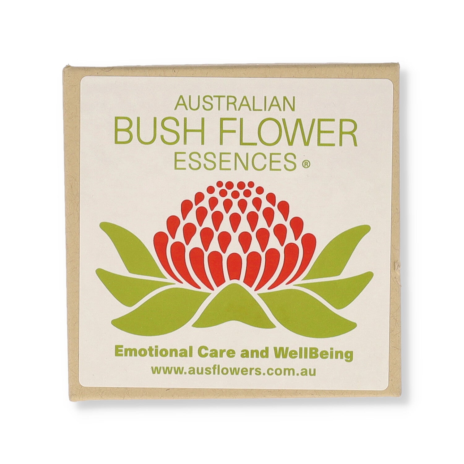 AUSTRALIAN BUSH FLOWER - ELECTRO PENDANT PURPLE