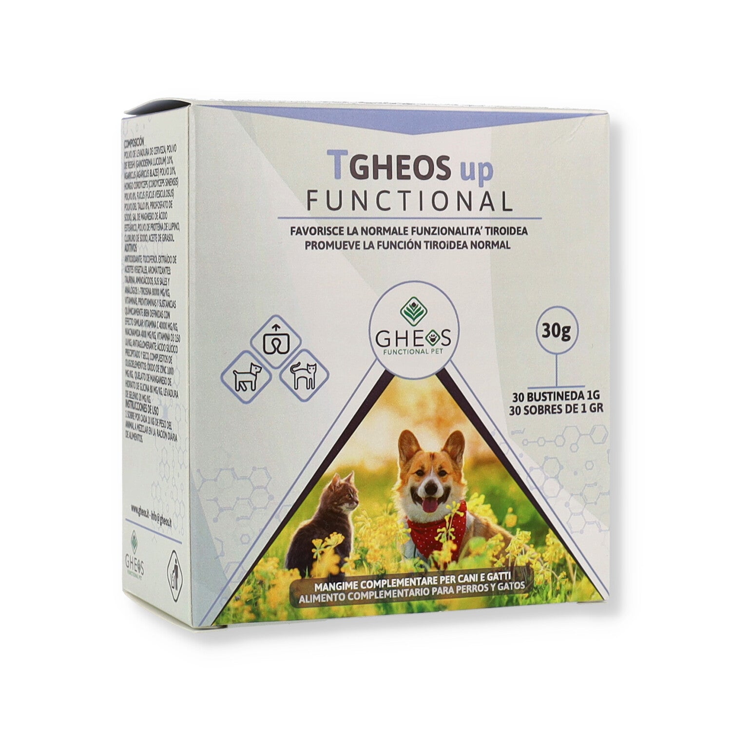 TGHEOS UP FUNCTIONAL 30 BUSTE